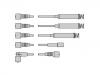 Cables d'allumage Ignition Wire Set:16 12 537